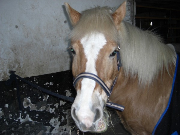 Boney ( sprich : Bohnai )